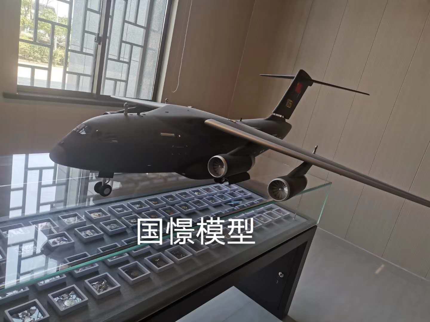 那坡县飞机模型